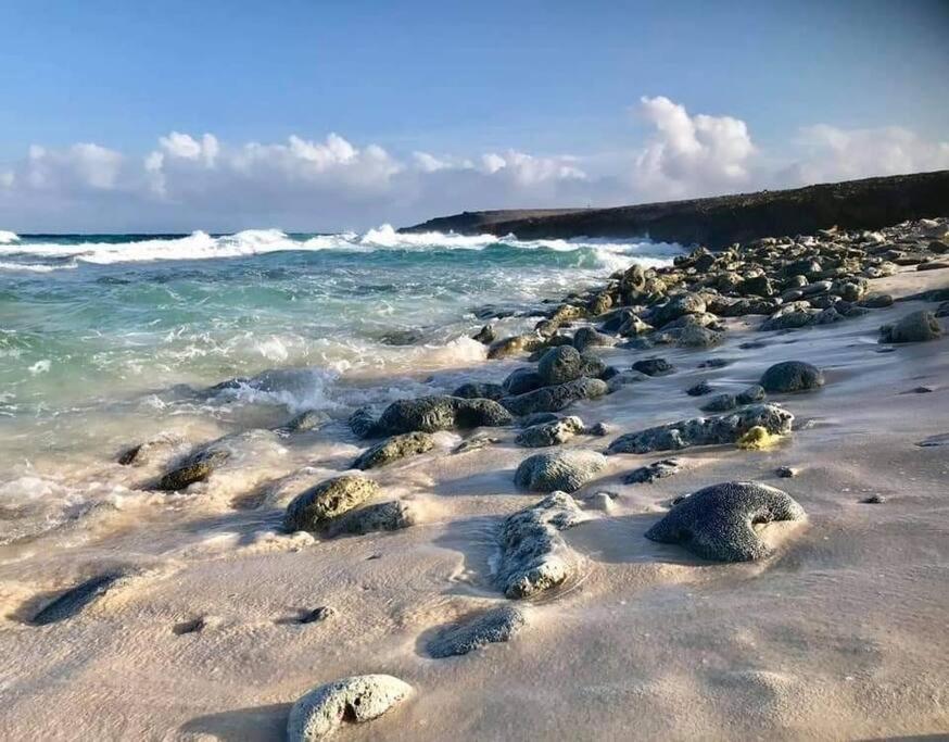 Aruba Condo The Pearl - At Eagle Beach - Minute Walk! Palm Beach Exteriör bild